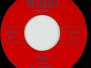 Rare Garage 45 THE ACCIDENTALS 