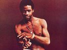 Al Green - Greatest Hits Vinyl LP NEU 0452078