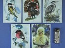 5 x THE WHO My Generations POSTCARD FLEXI DISC 5 various birds Janusz Grabianski