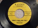 BLUES/R&B Texas Ray What's Come over you on Kaydee mp3
