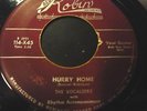 The Vocaleers-Is it a dream/Hurry Home 45 RARE Original Doo Wop Red Robin label