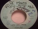 DOO WOP 45 - LYNN DEE & THE STATICS -LITTLE GIRL'S DREAM / A SUNDAY KIND OF LOVE