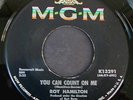 45 RPM NORTHERN ROY HAMILTON MGM 13291