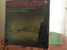 Counting Crows - Recovering The Satellites 2 LP 12