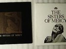 2 LPs Sisters of Mercy Grief Live London 82 und Alice/Floorshow 1983