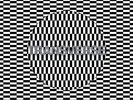 Carter Tutti Void - Transverse