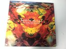Band Of Skulls Baby Darling Doll Face Honey Rare LP NM/NM + Poster and CD