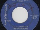 Crossover Soul 45 - Little Sherman & Mod Swingers - Price Of Love - Sagport mp3