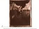 Pixies - Surfer Rosa (180g-LP) (2009) MFSL - Master Recordings - NEU - Sale %