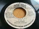 Trevor Junior TITLE Sunset 7