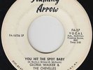 Funk 45 - Gloria Walker & Chevelles - You Hit The Spot - Flaming Arrow - mp3