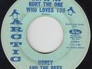 Northern Soul 45 - Honey & The Bees - Why Do You Hurt The One - Arctic - mp3
