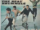 45t The Beau Brummels