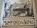 Mumford And Sons Love Your Ground Rare Vinyl EP