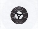 THE DINKS - NINA KOCKA NINA - RARE 1965 US SULLY MAD FRAT GARAGE FREAKBEAT PSYCH