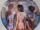 PINK FLOYD  RARE BEAUTIES  NEW  & Un-Played   PICTURE DISC LP VINYL   LIMITED ED