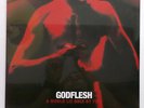 Godflesh - A World Lit Only By Fire LP Record Vinyl - BRAND NEW