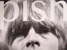 BRIAN JONESTOWN MASSACRE , The - Mini Album Thingy Wingy - Vinyl (LP)
