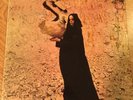 FLEETWOOD MAC THE PIOUS BIRD OF GOOD OMEN 1969 UK LP BLUE HORIZON 7-63215