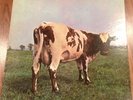 Pink Floyd Atom Heart Mother SKAO-382 Record Vinyl LP NM Gatefold