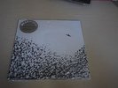 Uncle Tupelo & Wilco Still Feel Gone, No Depression, Sky Blue Sky, The Album