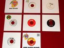 Super Mango 'Big7' reggae/ska/calypso/mashup DJ 7