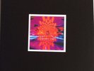 QUAD SUN DIAL LP PRESCRIPTION LABEL RARE TEST PRESSING 