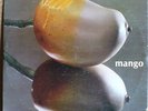 Mango Homonimo LP 1979 Integra Venezuela Salsa Descarga