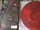Flaming Lips - Stone Roses - The time Has Come To Shoot You Down