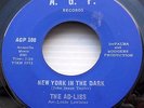 AD-LIBS New York In The Dark 1966 NORTHERN SOUL 45 on A.G.P b/w Human e2890