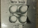 SATIN WHALE 'DESERT PLACES' RARE ORIG GREEN BRAIN MONSTER PROG *1ST PRESS* LP NM