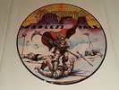 KREATOR Endless Pain PICTURE DISC LP MINT RARE LTD (Destruction Running Wild)
