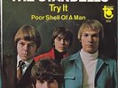 The STANDELLS Try It/Poor Shell Of A Man 1967 Psych Organ Garage RARE PS HEAR