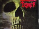 SARCASTIC TERROR / IN-QUEST split-7