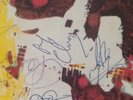 Stiff Little Fingers At The Edge Autographed Picture Cover 7