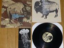 OMAR RODRIGUEZ LOPEZ Se Dice Bisonte Bufalo LP OOP mars volta.at the drive in