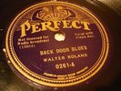 BLUES WALTER ROLAND Back Door Blues PERFECT 0261
