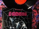COOL '66 ORIG   THE SEEDS = A WEB OF SOUND   HOWLING FUZZ GARAGE PSYCH SKY SAXON