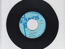 TOTAL SOUNDS/HIGHER RANGE (REGGAE RHYTHM)  -  HORACE ANDY (77  REGGAE ROOTS 7