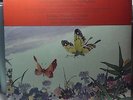 Takako Nishizaki - The Butterfly Lovers Violin Concerto HK RECORDS 6.240103 LP