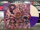 Baroness 