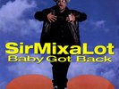Sir Mix-A-Lot Baby Got Back Vinyl Single 7inch NEAR MINT American
