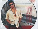 BRUCE SPRINGSTEEN Lucky Town Vinyl Record LP Columbia 471424 0 1992 Picture Disc