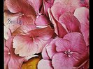 STILL LIFE Same LP 1ST UK PRESS 1971 MONSTER PROG