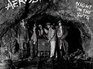 Aerosmith - Night In The Ruts 180g vinyl LP NEW/SEALED rsd