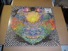 LP:  MEATBODIES - self titled  s/t  SEALED NEW + download TY SEGALL