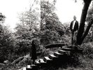 Timber Timbre-Timber Timbre VINYL NEW