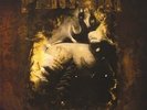 Pantera - Far Beyond Driven