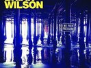 Brian Wilson - No Pier Pressure