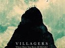 VILLAGERS - WHERE HAVE YOU BEEN ALL MY LIFE - NEW LP (INDIE EXC)